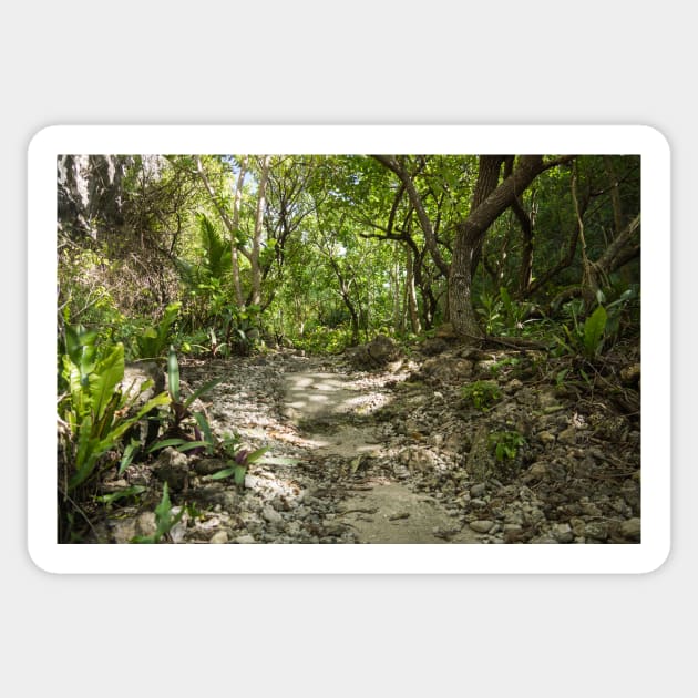 Niue walking track. Sticker by sma1050